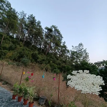 Camli House Hotel *